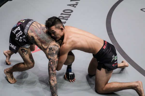 Christian Lee SGDC21651 600x400