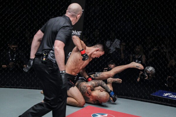 Christian Lee SGDC2221 600x400