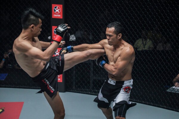Sagetdao SGDC0635 600x400