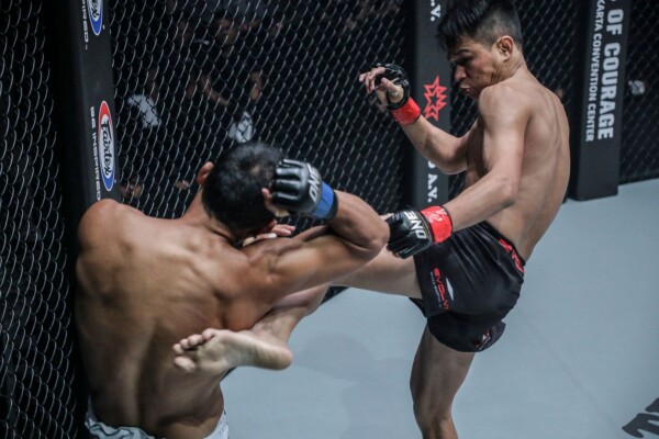 Sagetdao SGDC0730 600x400