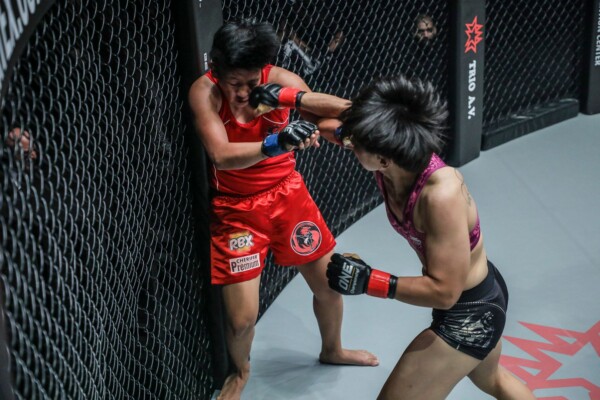 Xiong Jing Nan SGDC1064 600x400