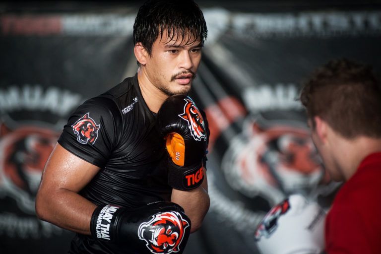Shannon Wiratchai DSC_5189 768x512