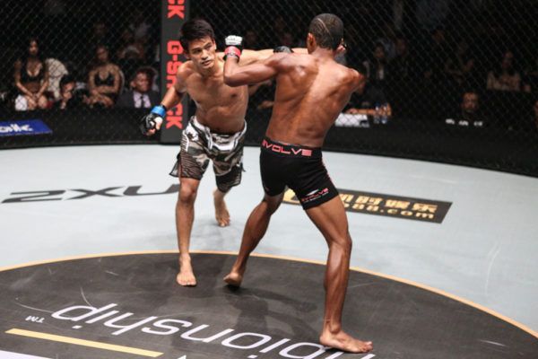 Shannon Wiratchai IMG_2803 1 600x400