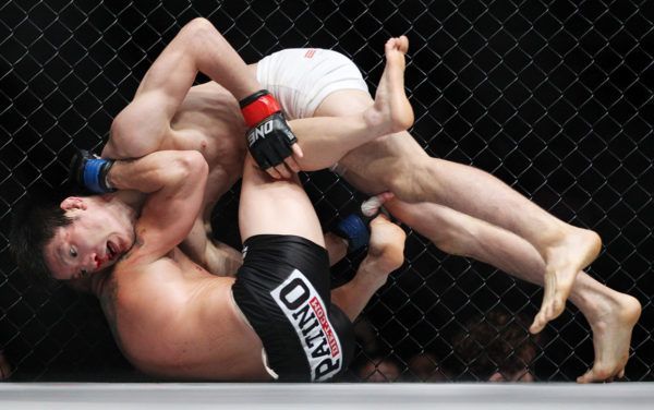 Shinya Aoki vs Cody Stevens 600x376