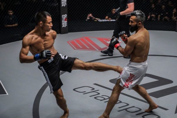 Chen Lei IMGL0352 600x400