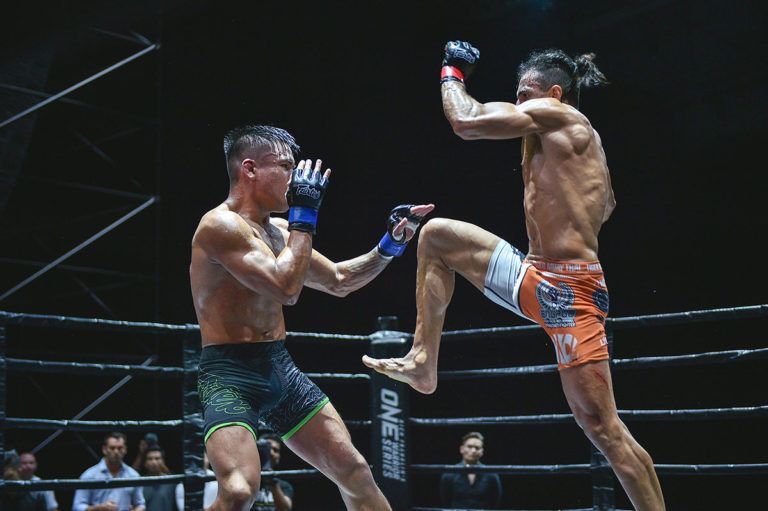 Ali Motamed vs Mark Abelardo One Warrior Series July 2018 341 768x511