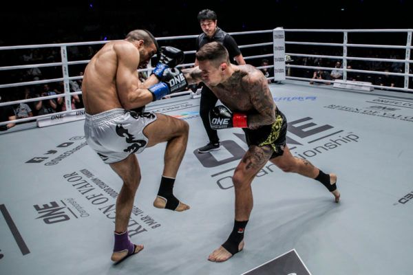 Nieky Holzken DUX 8848 600x400
