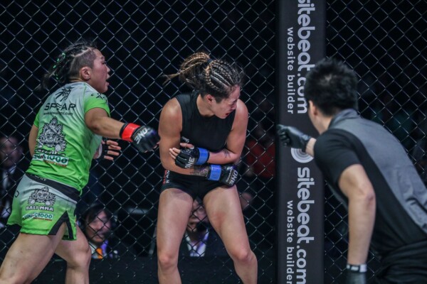 Xiong Jing Nan DC 8700 600x400
