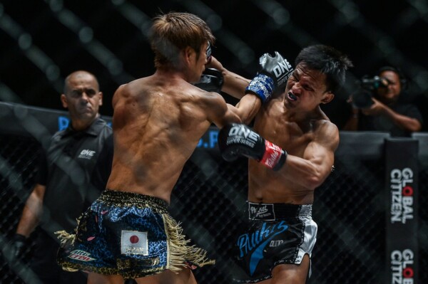 Lerdsila DA 3352 600x399