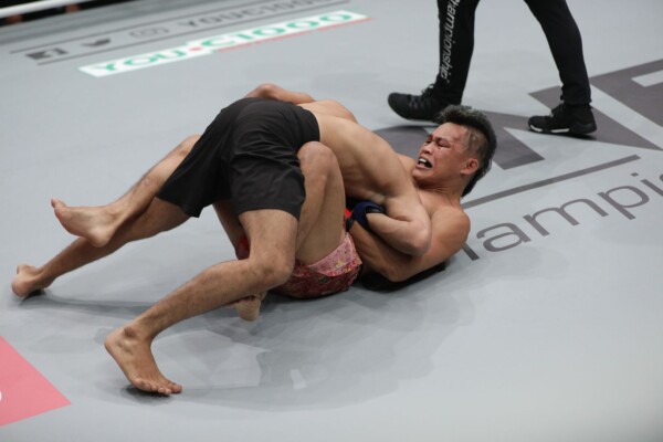 Adrian Mattheis DC 2913 600x400