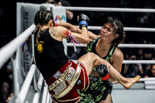 Stamp Fairtex DUX 2694 600x400