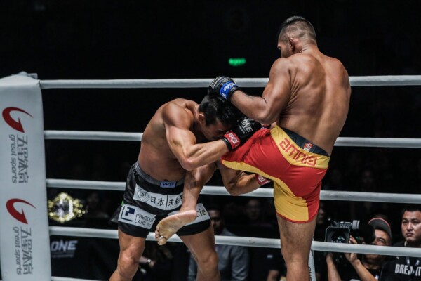 Agilan Thani DC 9463 600x400