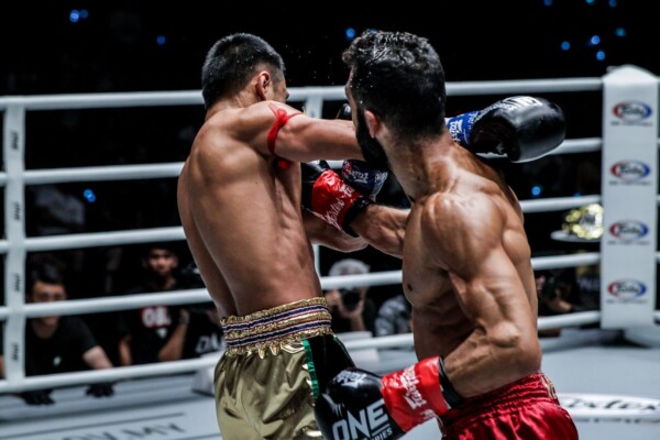 Giorgio Petrosyan DC 9826 600x400