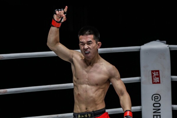 Xie Wei DC 4660 600x400