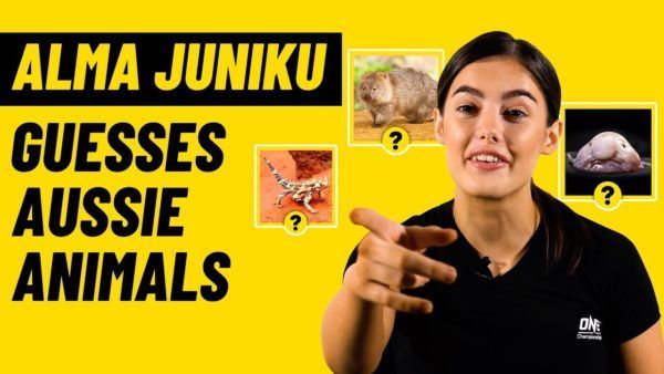 Aussie Alma Juniku tries her hand at guessing native Australian wildlife.