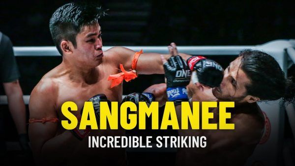 sangmanees incredible striking one championship highlights 600x338