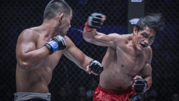eduard folayangs ultimate striking highlights 600x338