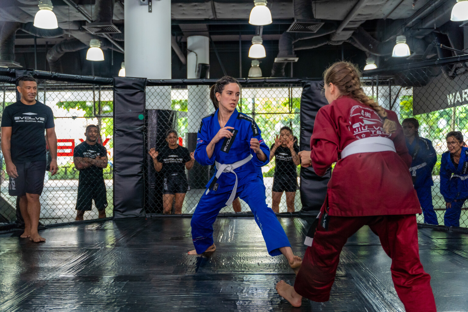 Highlights - The Apprentice: ONE Championship Edition