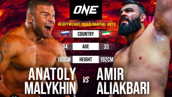 heavyweight knockout amir aliakbari vs anatoly malykhin full fight replay 600x338