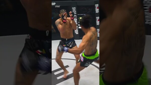they unloaded a barrage of leg kicks on one another 600x338