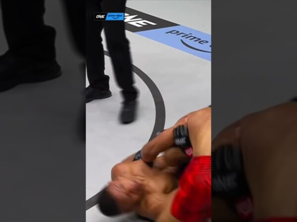 stephen loman manhandled bibiano fernandes to take the win by unanimous decision 600x450