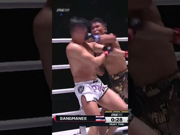 kulabdam sor jor piek uthai lands his signature left meteorite e29884efb88f 600x450