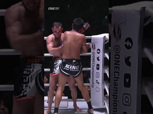 muangthai elbow zombie pk saenchai is back 600x450