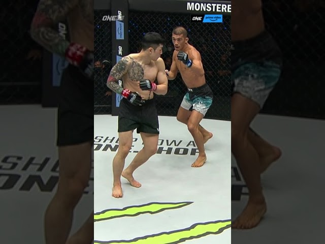 never turn your back on shoko sato