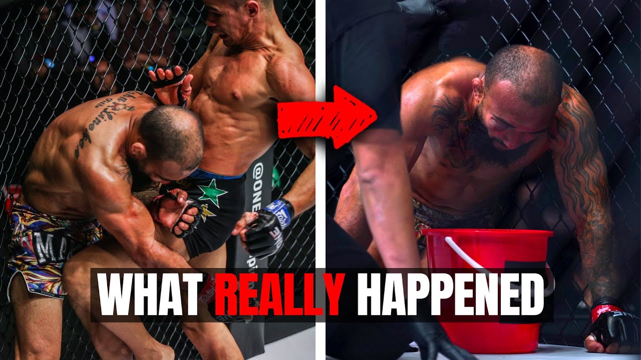 everything you need to know about lineker vs andrade ii