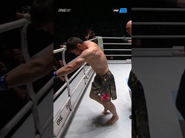 leg kick ko tawanchai pk saenchai chops jamal yusupov down just 49 seconds into their fight