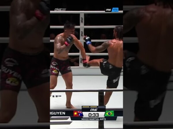 respect the counter 600x450