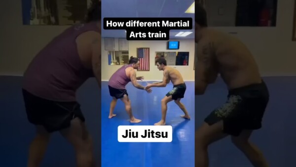 what do you train 600x338