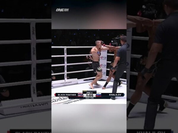 tagir khalilov takes out black panther with brutal body shots 600x450