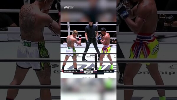 Gingsanglek lands four punches in a FLASH! ⚡