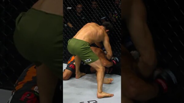 No mercy from Halil Amir