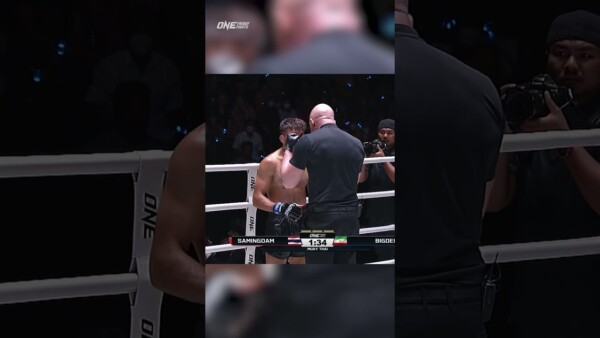Samingdam  drops Javad Bigdeli and takes flight for a spectacular TKO! ️