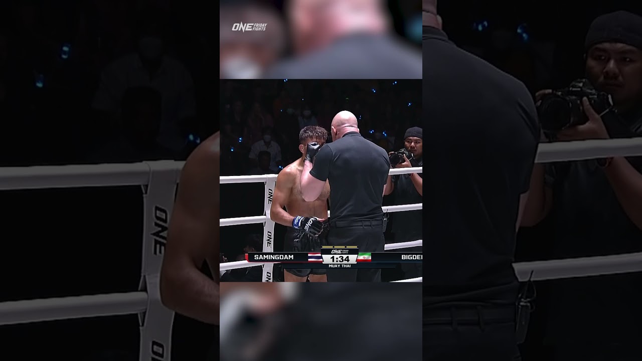 Samingdam  drops Javad Bigdeli and takes flight for a spectacular TKO! ️