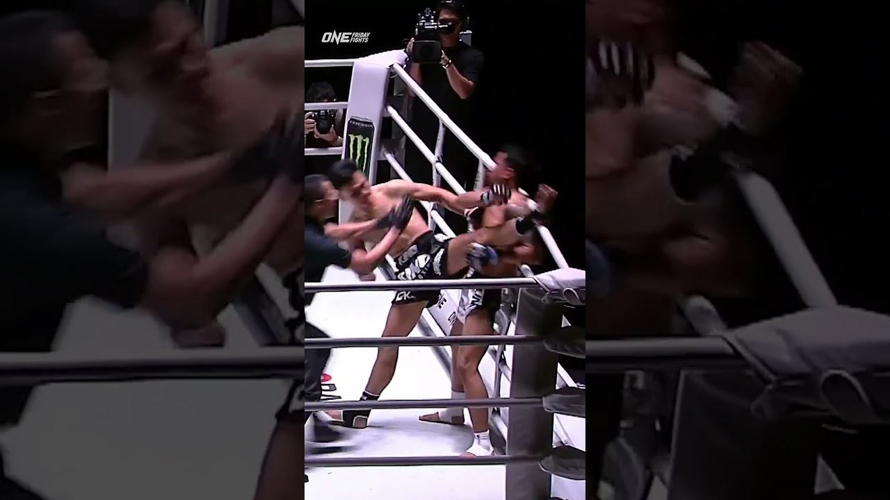 Samingdam with a teep to the face!