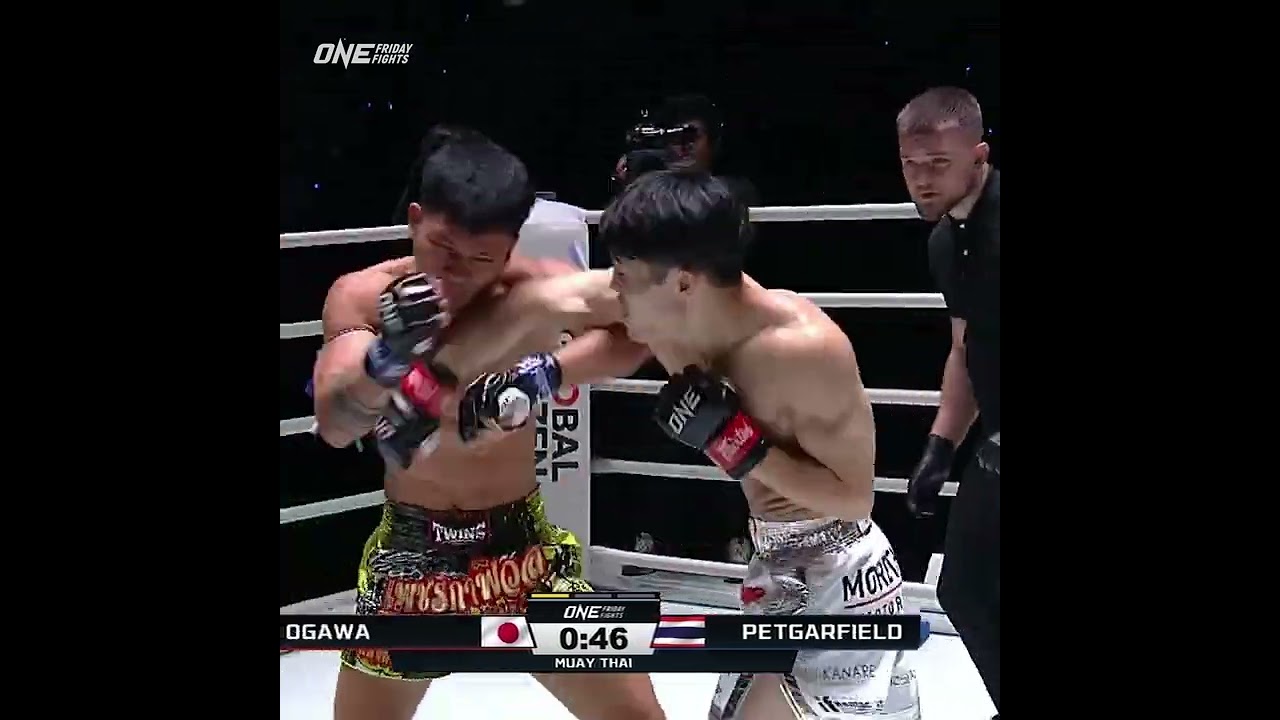 Rollercoaster Round 1 between Petgarfield and Sho Ogawa!