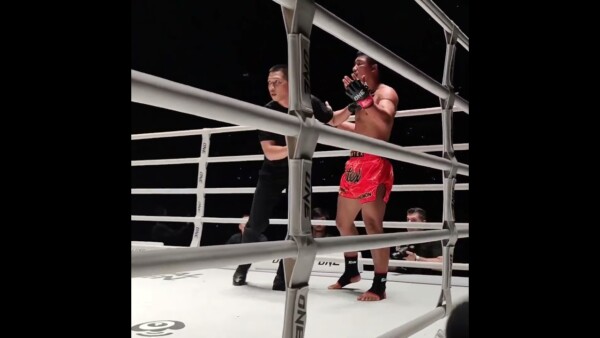 What do you think about this knockdown?