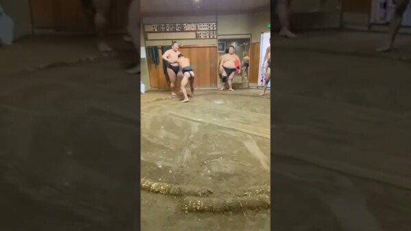 Yuya Wakamatsu takes on sumo wrestlers  Who should "Little Piranha" face next in ONE?