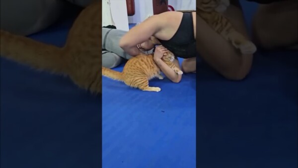 Purr fection in motion!  Would you try this move with your pawfriend?
