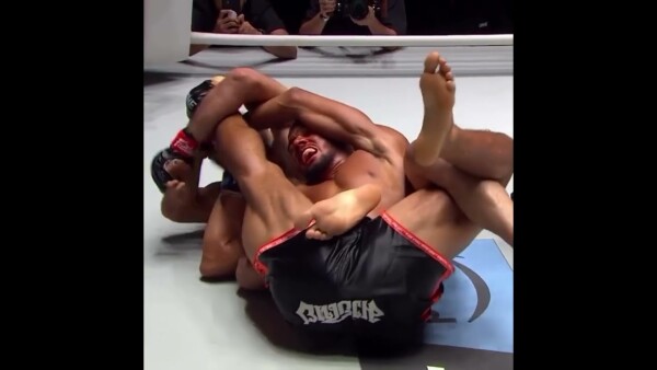 Need a good stretch?  What’s NEXT for Halil Amir?