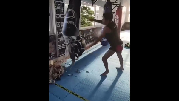 New bag incoming  Who’s next for Rui Botelho?