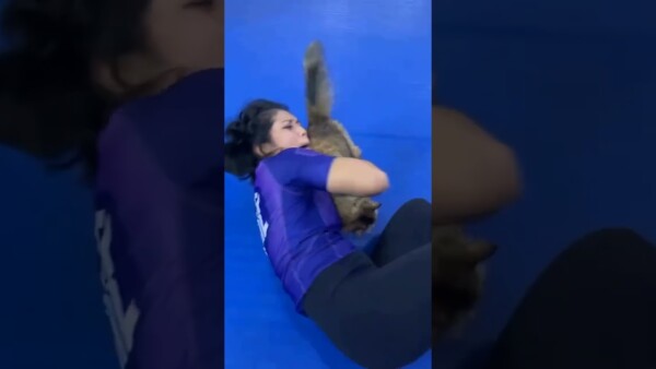 Who said the purr fect training partner doesn’t exit?