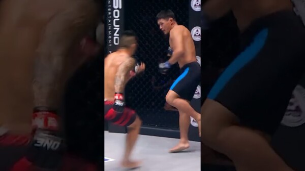Up in the air  Who should Martin Nguyen face next?