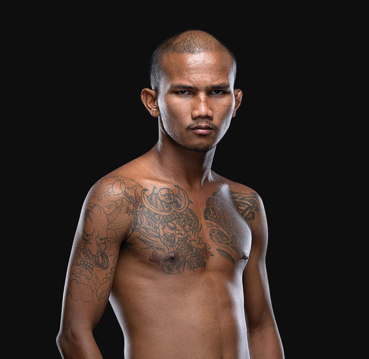 Sagaengarm Hero 1200x1165