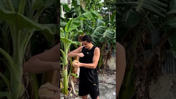 That elbow  Can Petchtanong take Alaverdi Ramazanov's power at ONE Fight Night 23 on Prime Video?