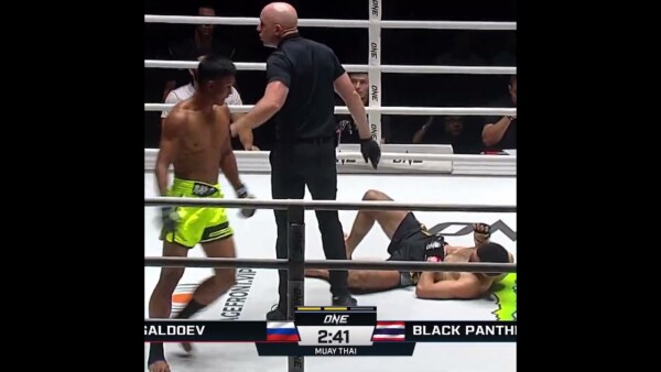 HEAD KICK KO  Black Panther flattens Ali Saldoev for his third straight win!