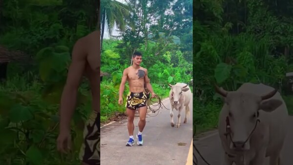 Just Suablack walking his dog